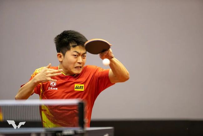 他虽未严格 他虽未严格